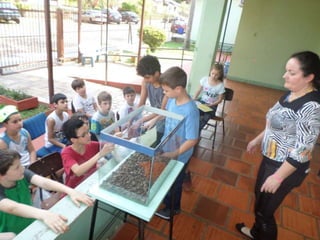 Terrário 5º ano