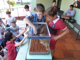 Terrário 5º ano