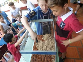 Terrário 5º ano