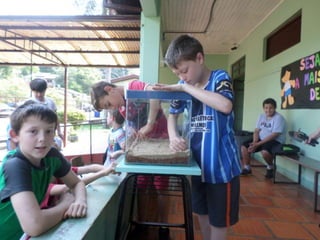 Terrário 5º ano