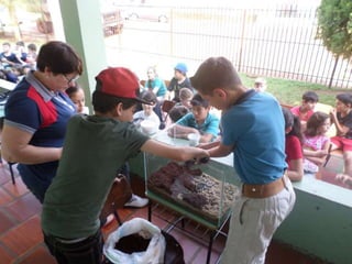 Terrário 5º ano