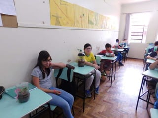 Terrário da família