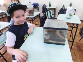 Terrário da família