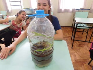 Terrário da família