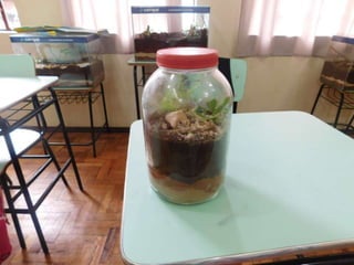 Terrário da família