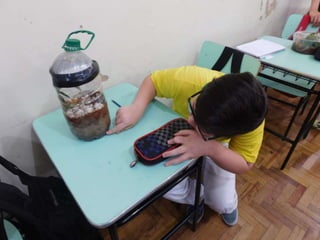 Terrário da família