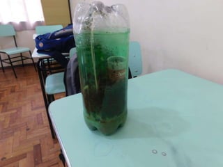 Terrário da família