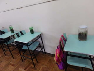 Terrário da família