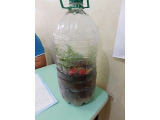 Terrário da família