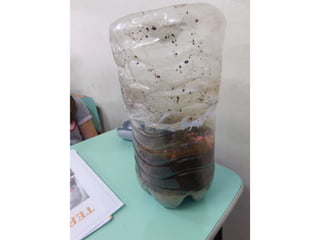 Terrário da família