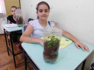 Terrário da família