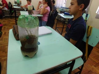 Terrário da família