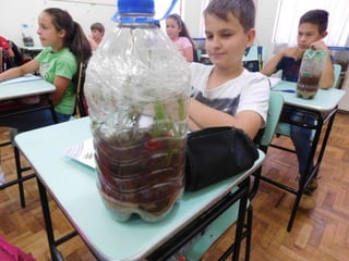 Terrário da família