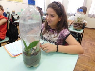 Terrário da família