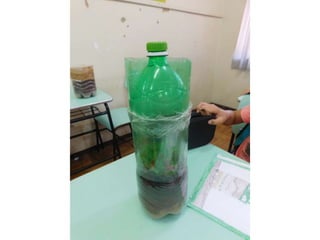 Terrário da família