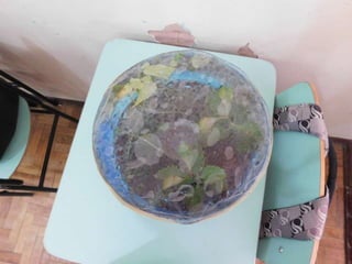 Terrário da família