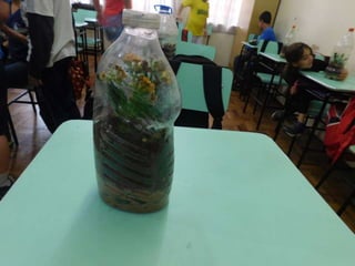 Terrário da família