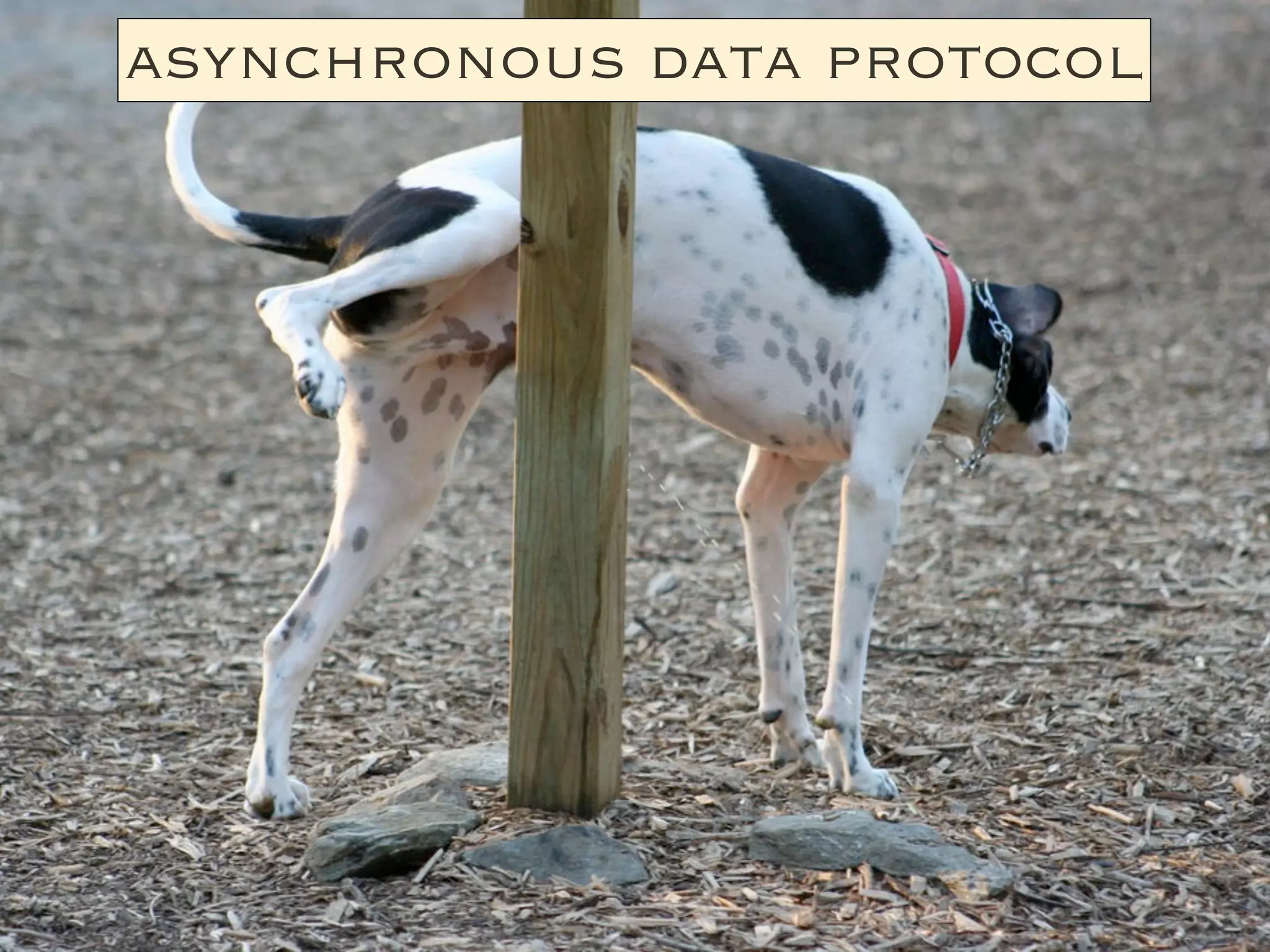 asynchronous data protocol
 