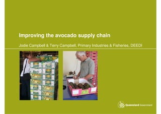 Improving the avocado supply chain
Jodie Campbell & Terry Campbell, Primary Industries & Fisheries, DEEDI
 