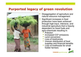 Forests, biodiversity and food security | PDF