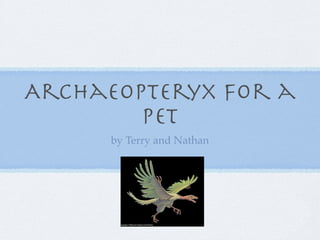 Archaeopteryx for a
        pet
      by Terry and Nathan
 