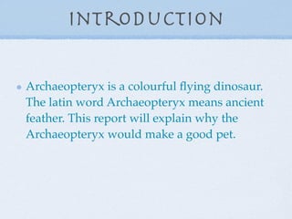 Introduction

Archaeopteryx is a colourful ﬂying dinosaur.
The latin word Archaeopteryx means ancient
feather. This report will explain why the
Archaeopteryx would make a good pet.
 