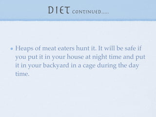 diet continued.....


Heaps of meat eaters hunt it. It will be safe if
you put it in your house at night time and put
it in your backyard in a cage during the day
time.
 