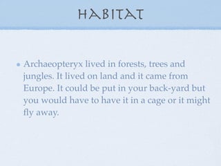 Habitat

Archaeopteryx lived in forests, trees and
jungles. It lived on land and it came from
Europe. It could be put in your back-yard but
you would have to have it in a cage or it might
ﬂy away.
 