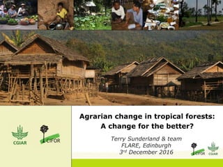 Agrarian change in tropical forests:
A change for the better?
Terry Sunderland & team
FLARE, Edinburgh
3rd December 2016
 