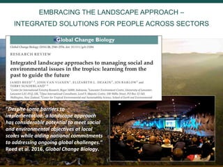 IN THE SHORT TERM WE WILL BE
• Assessing the sectorial, institutional and policy
dimensions affecting restoration outcomes, focusing first
on Latin America.
• Generating evidence-based knowledge on the potential
of the global carbon sink to be achieved through forest
landscape restoration via (i) natural regeneration; (ii)
assisted regeneration through tree planting; and (iii)
restoration of high-carbon ecosystems (i.e. wetlands and
peatlands).
• Assessing risks threatening the permanence of restored
ecosystems (fire, conversion).
 