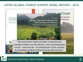 CIFOR/FTA and the CBD