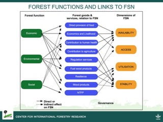 CIFOR/FTA and the CBD