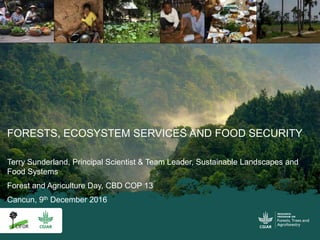 FORESTS, ECOSYSTEM SERVICES AND FOOD SECURITY
Terry Sunderland, Principal Scientist & Team Leader, Sustainable Landscapes and
Food Systems
Forest and Agriculture Day, CBD COP 13
Cancun, 9th December 2016
 