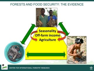“Forests are a major repository
of food and other resources that
play a crucial role in food
security. In addition, mainta...