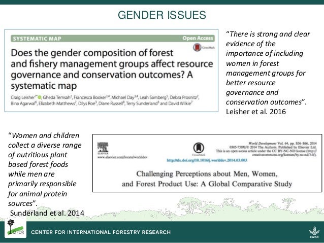 Forests Ecosystem Services And Food Security