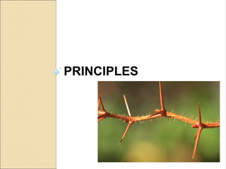 PRINCIPLES
 