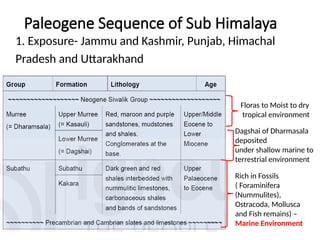 Tertiary and Quaternary Rocks of India.pptx