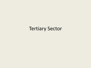 Tertiary Sector

 