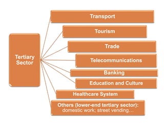 Tertiary
Sector
Transport
Tourism
Trade
Telecommunications
Banking
Education and Culture
Healthcare System
Others (lower-end tertiary sector):
domestic work; street vending…
 