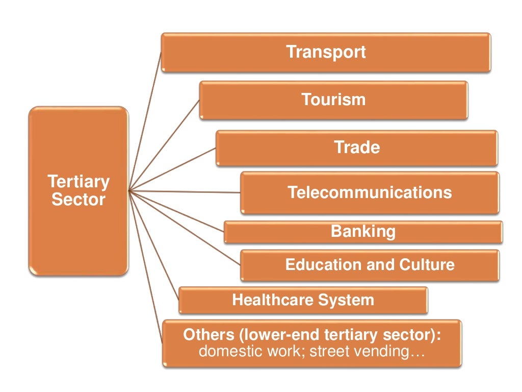 The Tertiary Sector. Services Transport