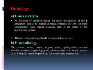 Pathology
a) Gross necropsy
 At the time of sacrifice during the study the animals of the P
generation should be examined macroscopically for any structural
abnormalities with special attention paid to the organs of the
reproductive system.
 Dead or moribund pups should be examined for defects.
b) Histopathology
The ovaries, uterus, cervix, vagina, testes, epididymides, seminal
vesicles, prostate, coagulating gland, pituitary gland and target organ(s)
of all P animals should be preserved for microscopic examination.
 