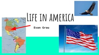 Life in america
Evan Grau
 