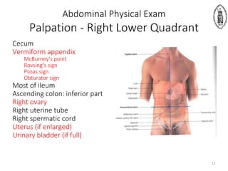 Abdominal Physical Exam
Palpation - Right Lower Quadrant
Cecum
Vermiform appendix
McBurney’s point
Rovsing’s sign
Psoas sign
Obturator sign
Most of ileum
Ascending colon: inferior part
Right ovary
Right uterine tube
Right spermatic cord
Uterus (if enlarged)
Urinary bladder (if full)
12
 