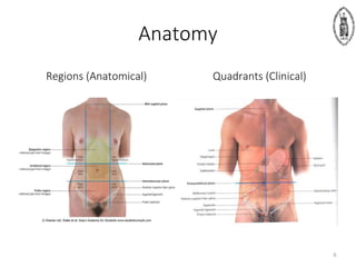 Anatomy
Regions (Anatomical) Quadrants (Clinical)
6
 