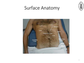 Surface Anatomy
7
 