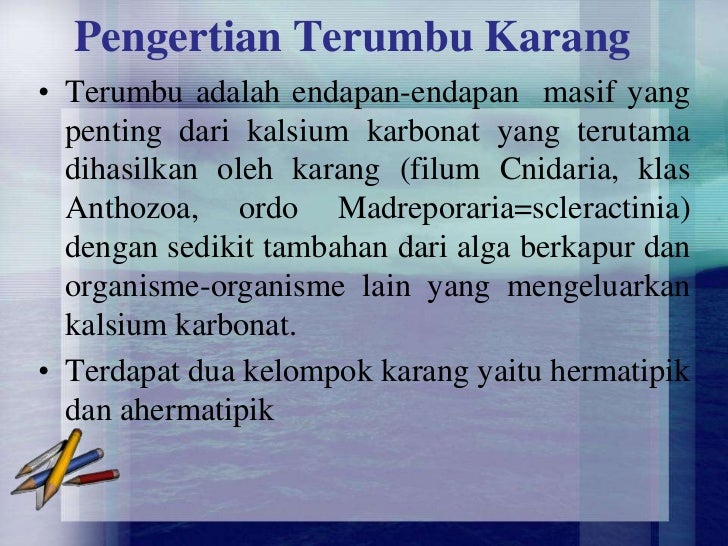 Terumbu karang