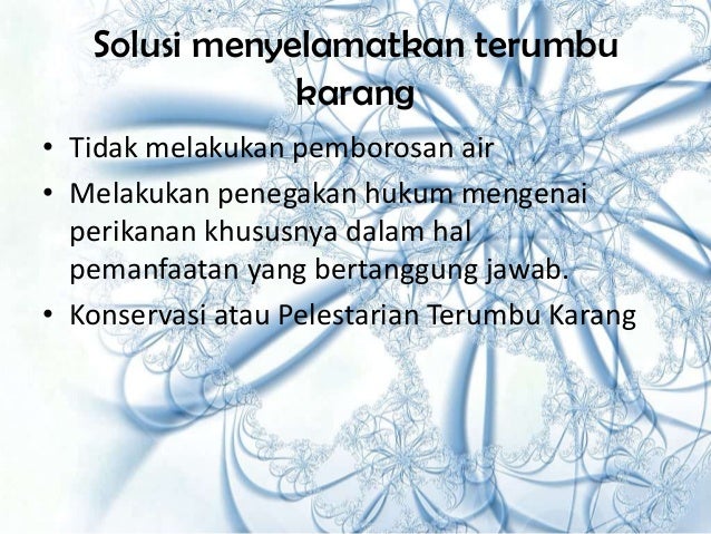 Terumbu karang