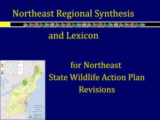 and Lexicon
for Northeast
State Wildlife Action Plan
Revisions
Northeast Regional Synthesis
 