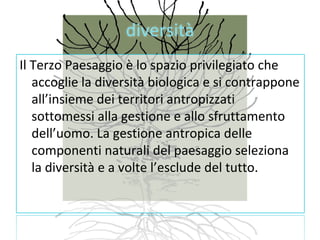 diversità
Il Terzo Paesaggio è lo spazio privilegiato che
   accoglie la diversità biologica e si contrappone
   all’insieme dei territori antropizzati
   sottomessi alla gestione e allo sfruttamento
   dell’uomo. La gestione antropica delle
   componenti naturali del paesaggio seleziona
   la diversità e a volte l’esclude del tutto.
 