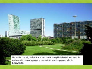 Nei siti industriali, nelle città, in quasi tutti i luoghi dell’attività umana, dal
turismo alle colture agricole e forestali, si riduce a poco o nulla la
biodiversità.
 